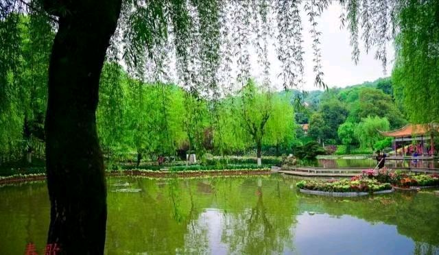 夏未渐稳，秋初已至《丙午立秋》节气同题专刊【岭南文学诗词交流】614期（图9）