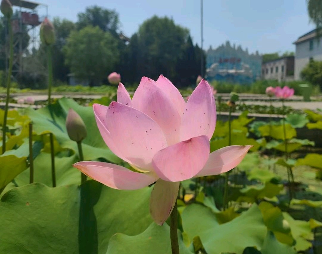 以未竭青春，铸不朽山河