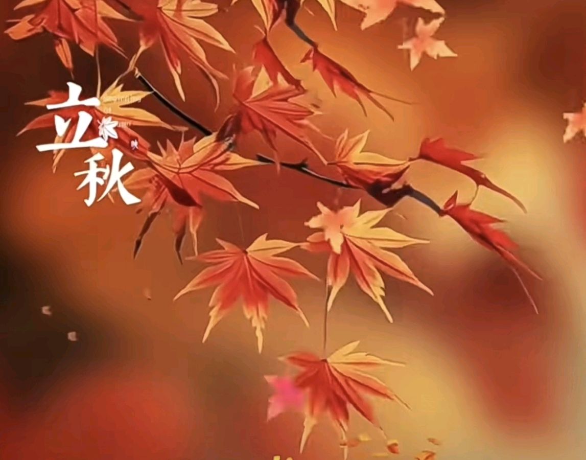 《中华好诗词》分享优秀作家诗人姚树学先生《写给立秋的诗句》二首请欣赏(图4)