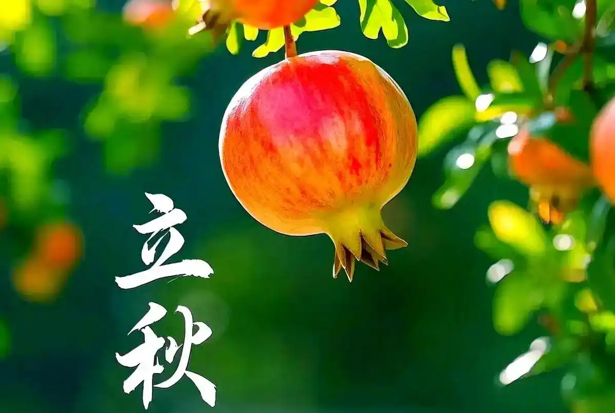 《山水怡情》文学社NO38期 蝉鸣残夏辞三伏；叶落新秋入半窗。（图7）