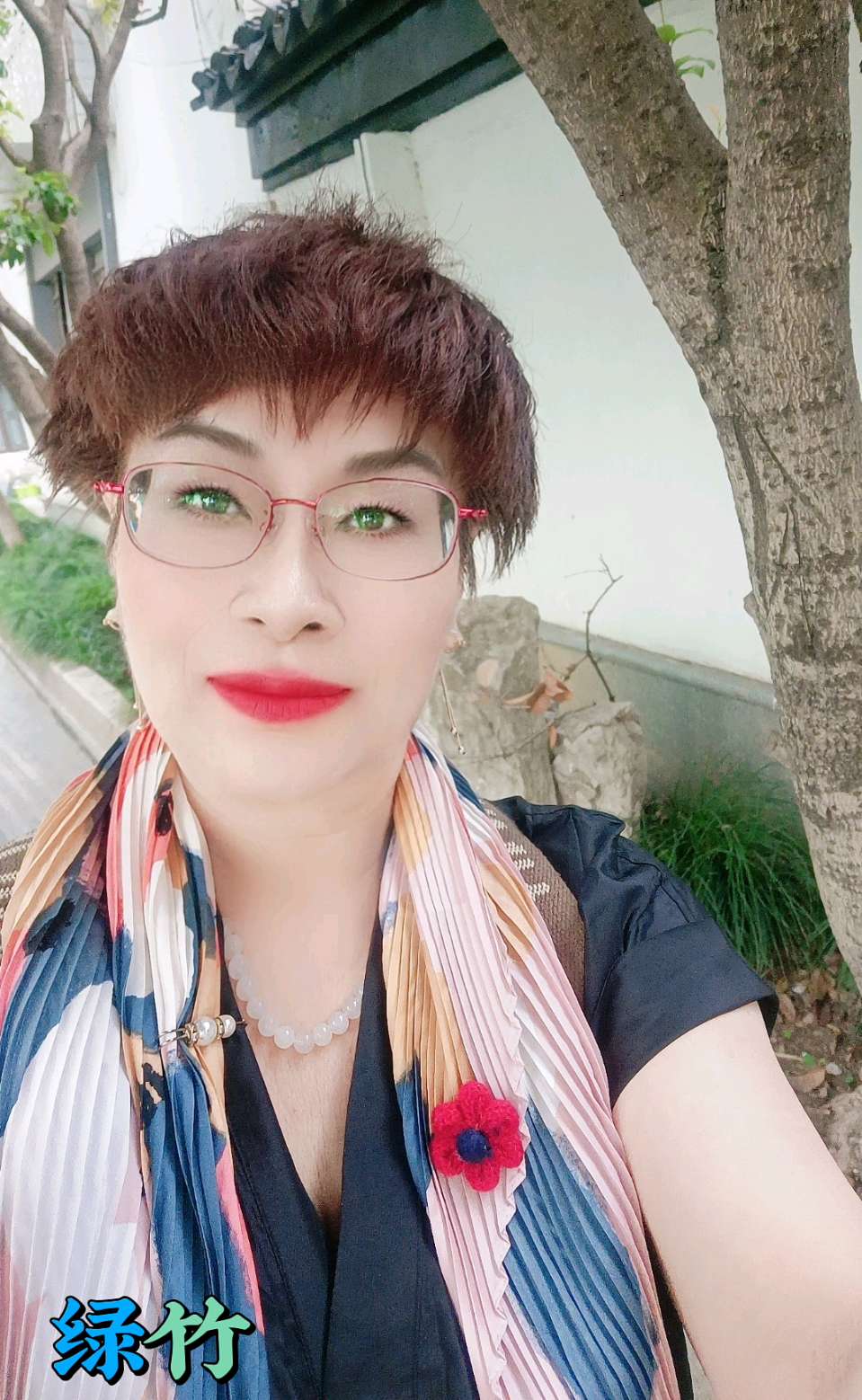 《我想把整个秋天给你》 作者 赵东成 朗诵 绿竹(图2)
