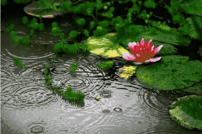 微型散文诗《秋的第一场雨》（图2）