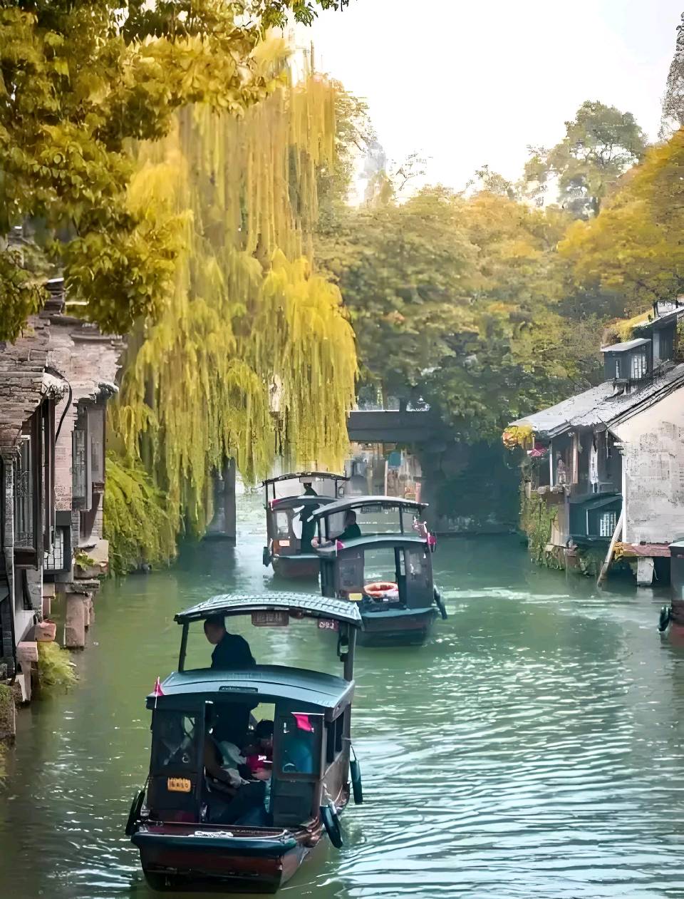 散文诗·独自听歌 文/铁裕(图5)