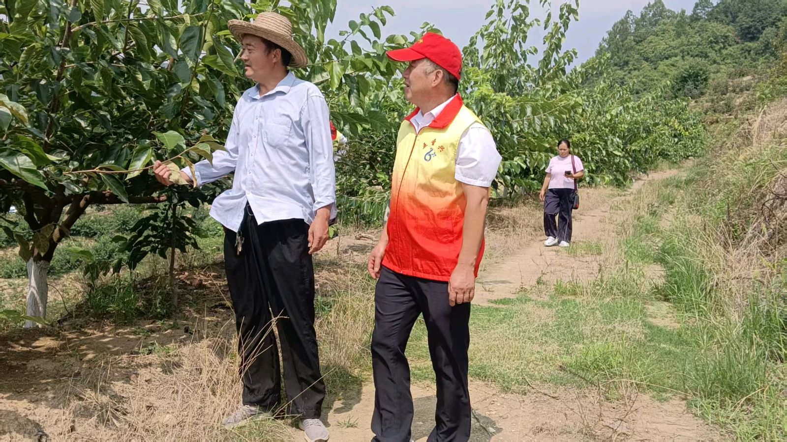 跋山涉水访产业 志愿助农促振兴（图2）