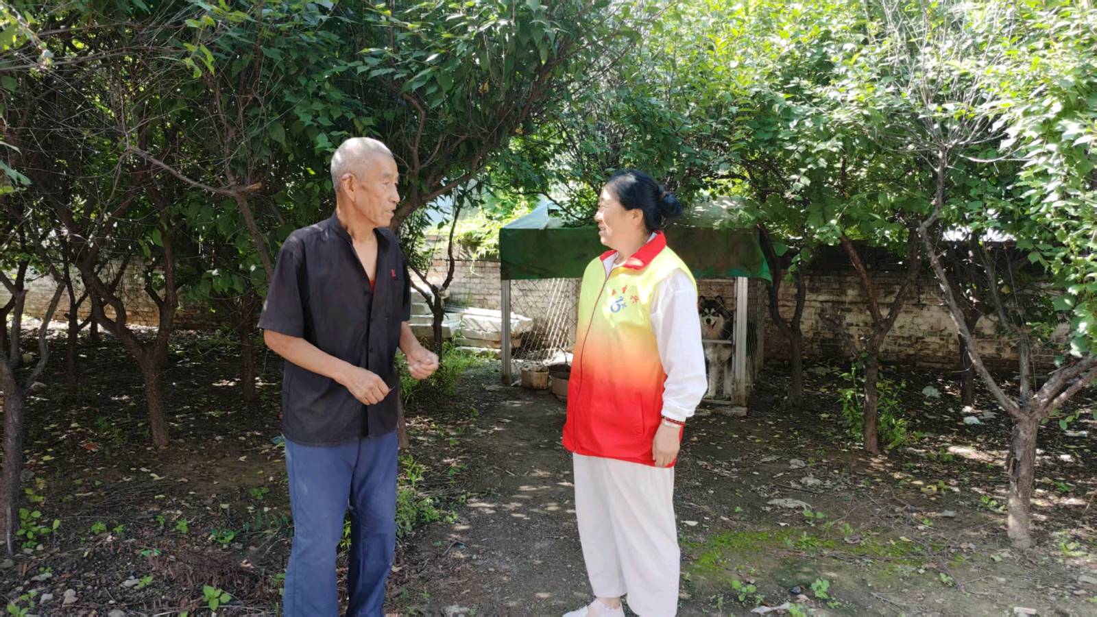 访农户 听心声 助乡村促振兴（图4）