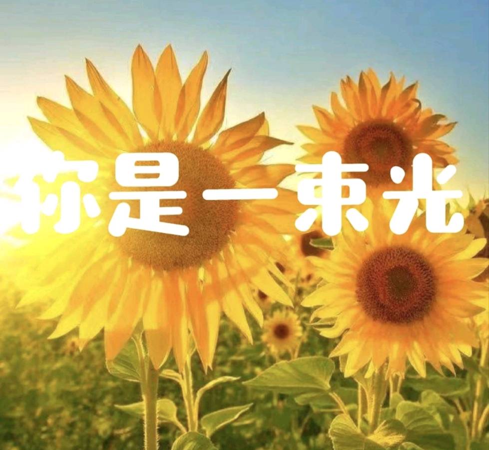 邢志坚（河南）《我写诗是为那束光》诵读：露露（图3）