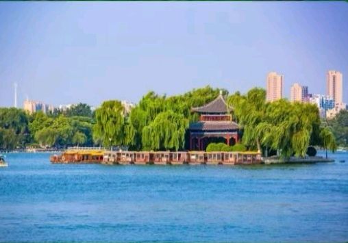 1659天木雨露：深耕阅读，重塑自我的底层认知（图5）