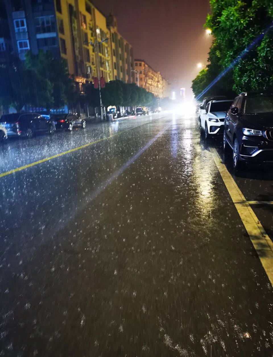七律//暑末鹏城雨望（外一首）作者//史少华