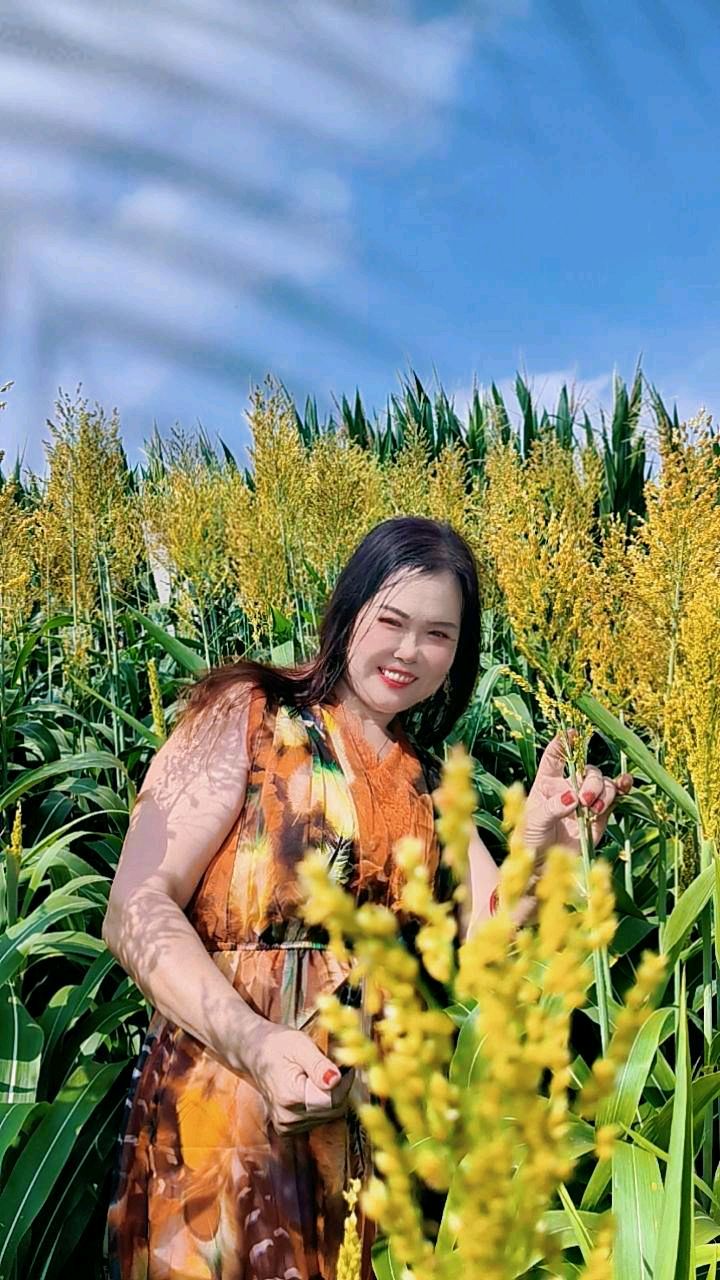 ″王母娘娘睡着了,仙女偷跑到石家村看荷花来了'(图7)