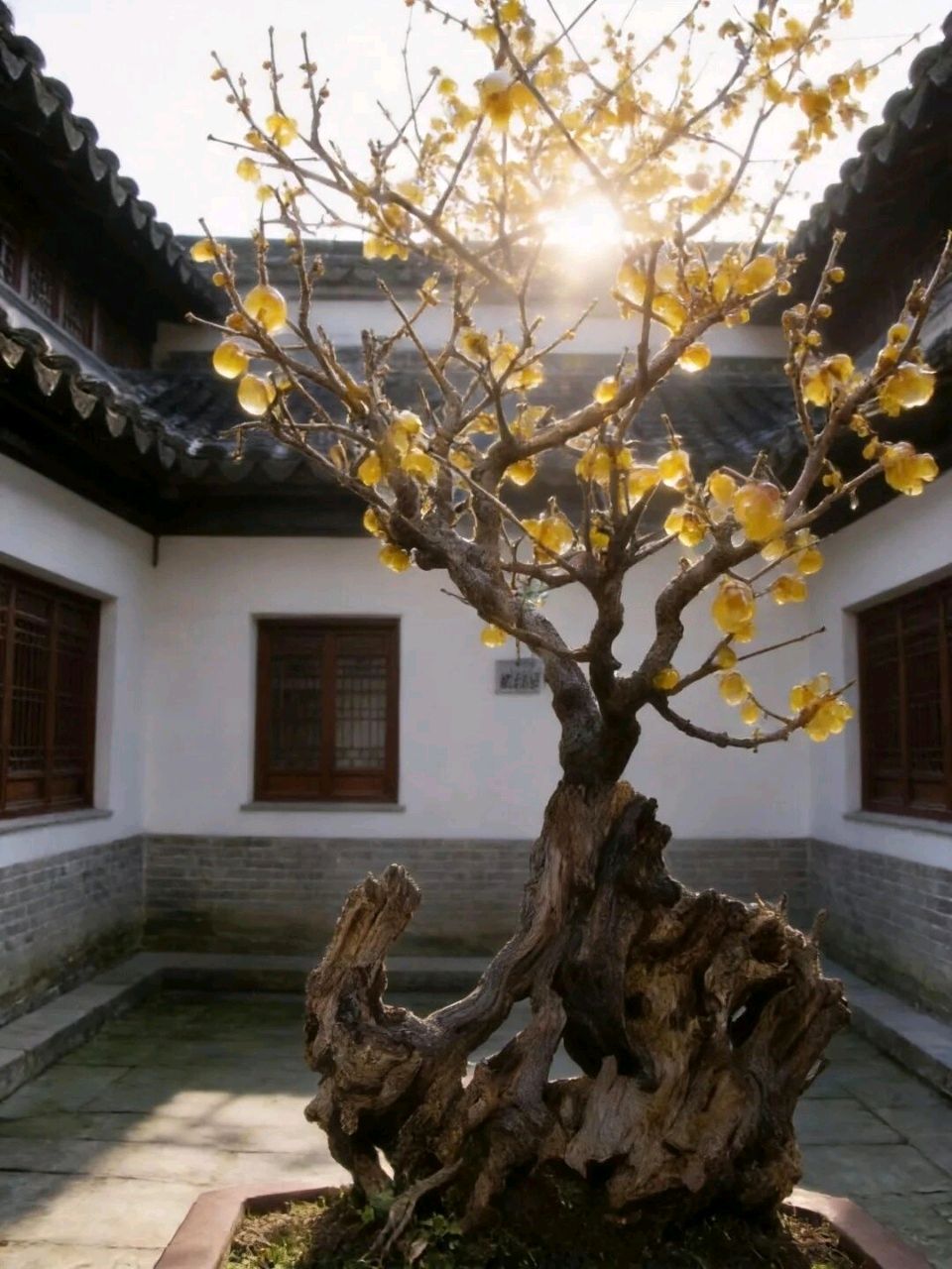 《梅花书院集咏》诗人朱建美 中华诗经阁编委（图12）
