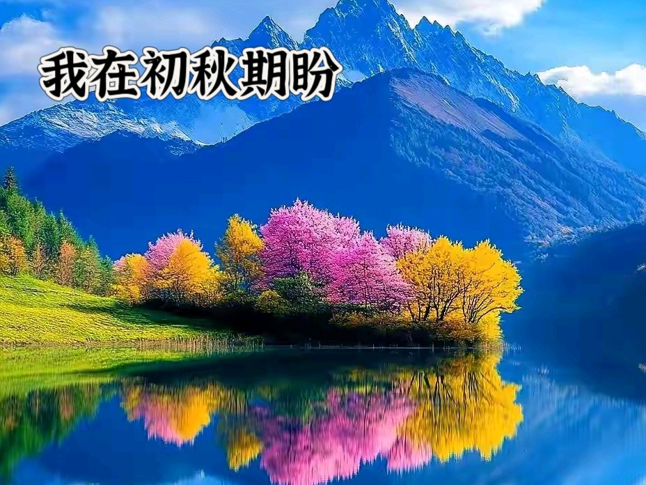 【隆重推出】《我在初秋期盼》作者 任学路 ‖ 主播 瑞霞（图3）