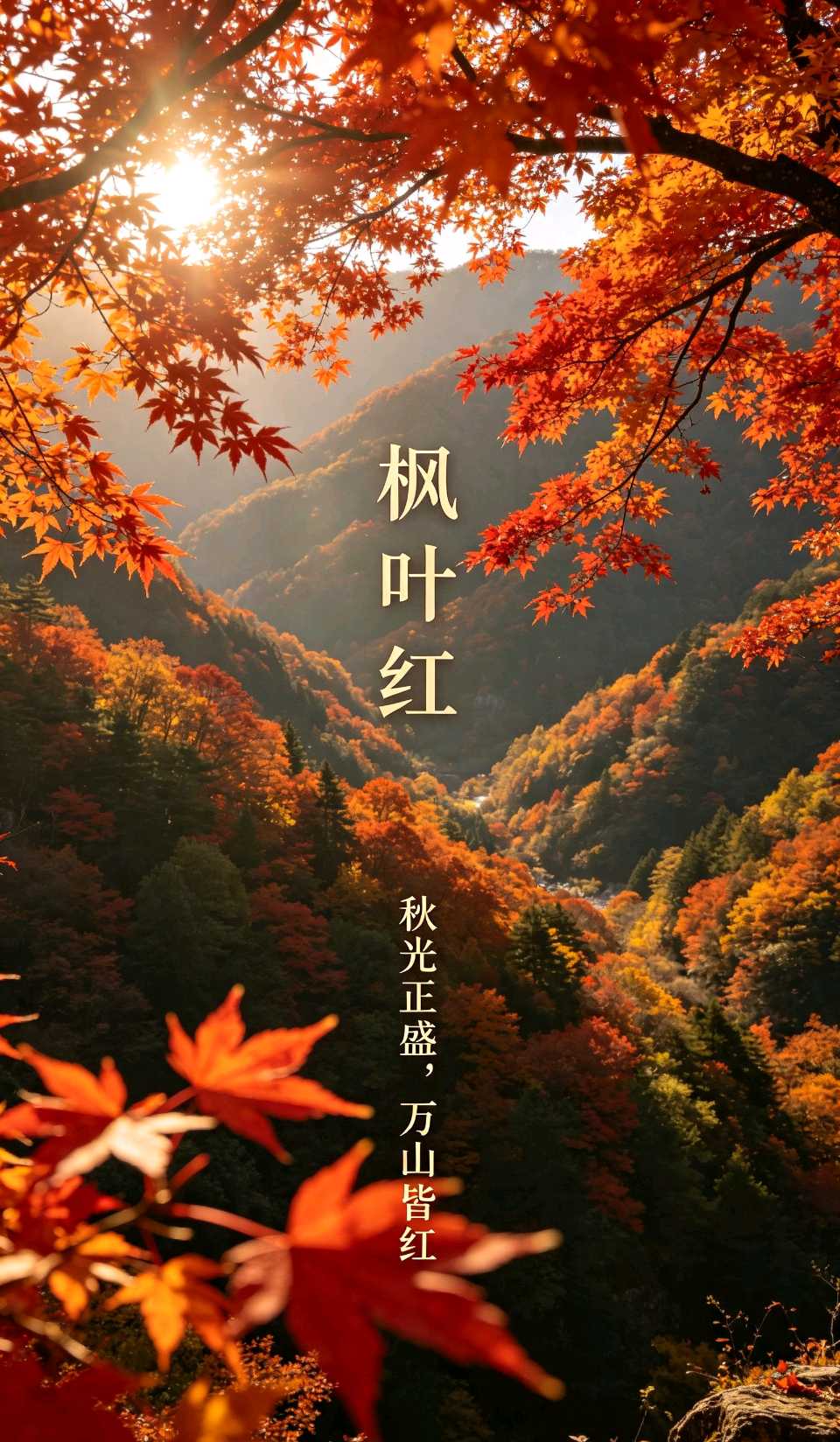 七律-始闻秋风～王政（辽宁）（图14）