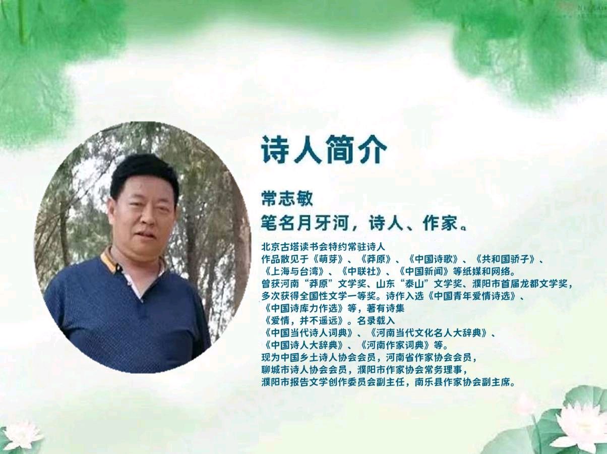 聆听 ‖ 马艳朗诵《乡下的老人》作者/月牙河（图2）