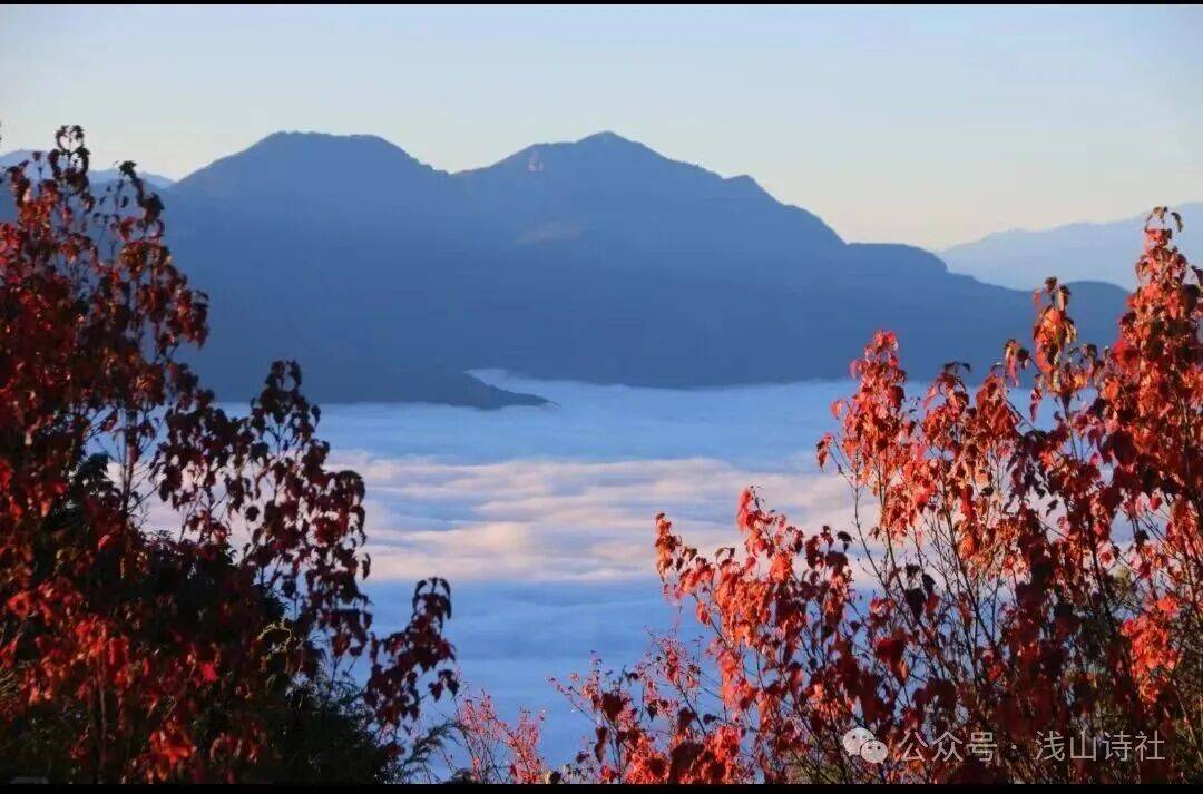 文章配图-1