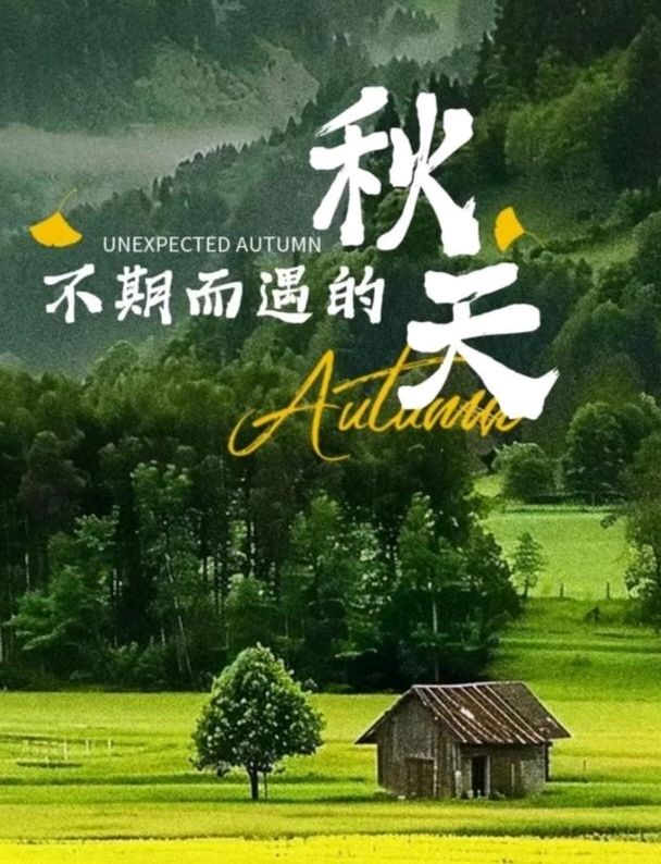 美好秋天至,山河染清欢 作者张绍钟 (吉林)编辑孙秀兰20260813(图12)