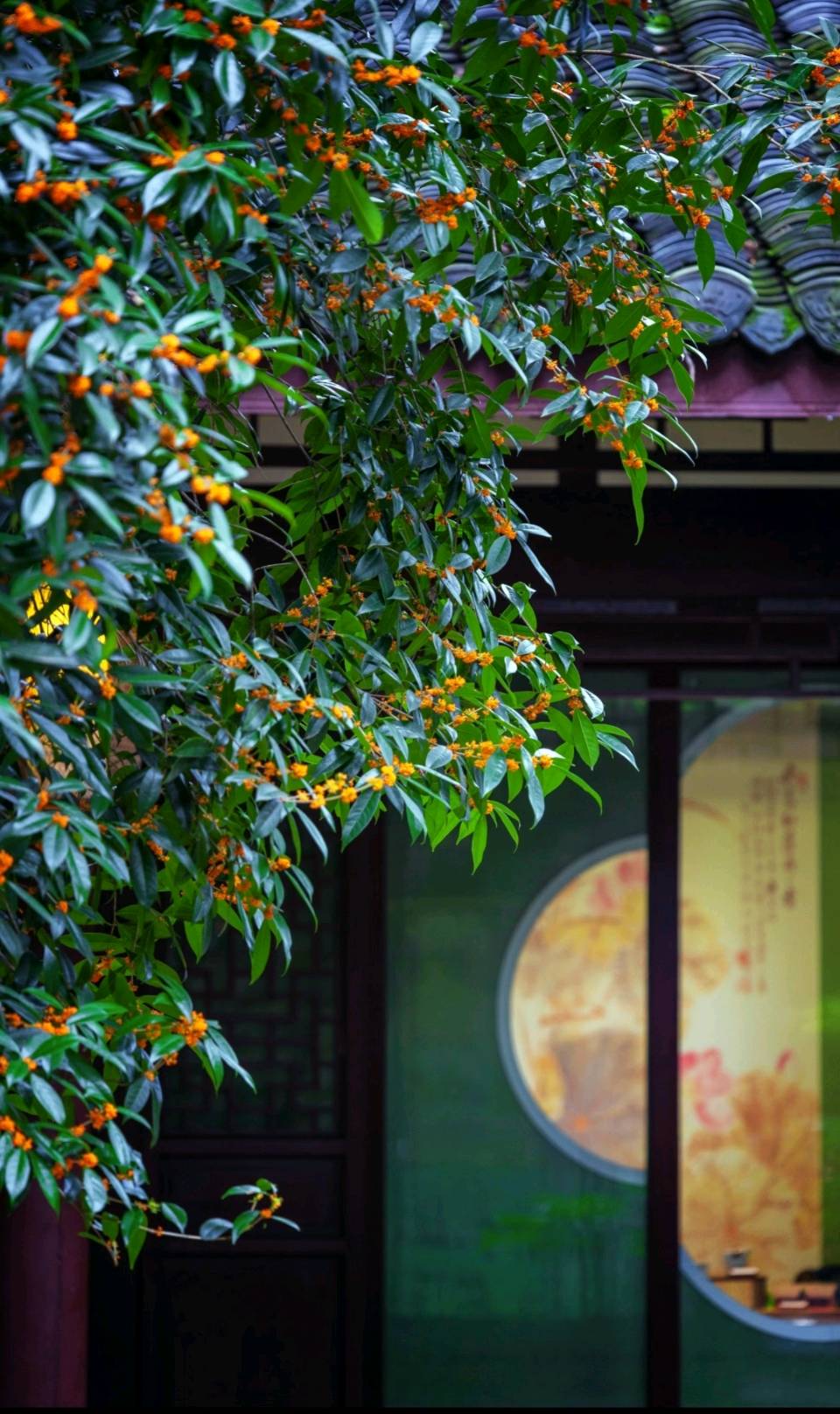诗词三首//作者//史少华（图4）