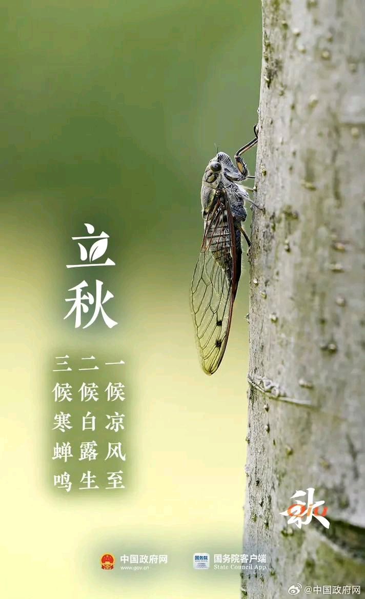 五绝三首//立秋三候 作者//彭甫立（湖南）（图5）