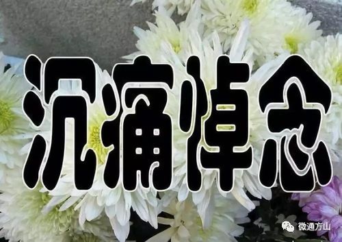 《中华好诗词》推出(陕西榆林)优秀诗人贺树元先生《七律.缅怀人民艺术家郭兰英》外三首敬请关注(图3)