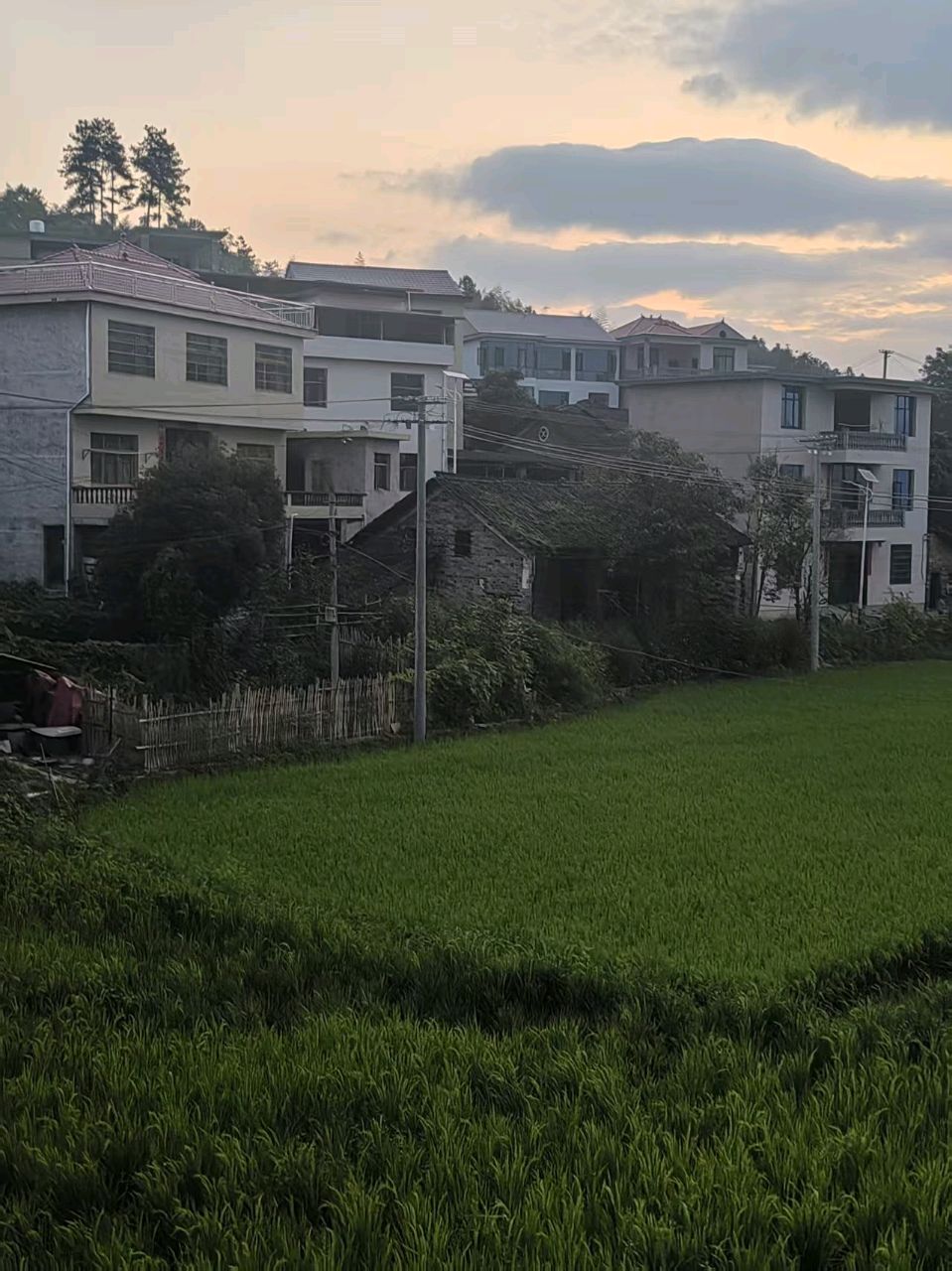 【作家版精品】路溪，我永远的故乡 作者：刘有良（图10）