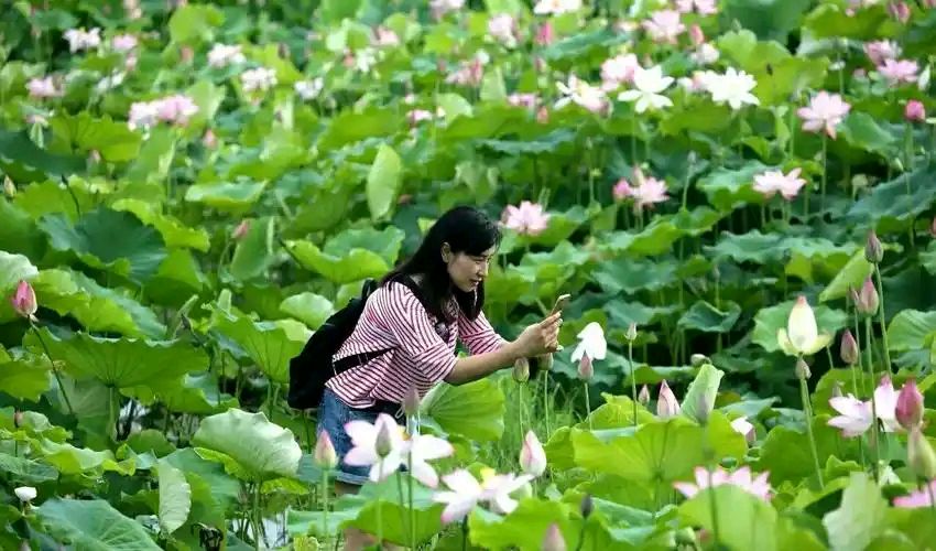 【北京头条】临沂市老年大学国学诗词班作品辑（十八）（图7）