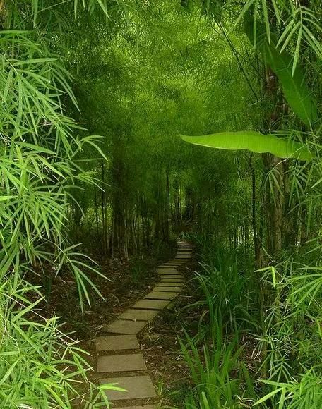 李向前(陕西)——[南吕·干荷叶]新秋细雨