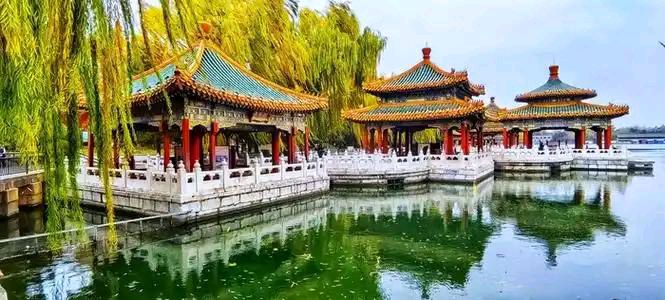 《🇨🇳中国人民诗刊》《中国人民诗社》(第4205期)百花齐放:姹紫嫣红(图17)