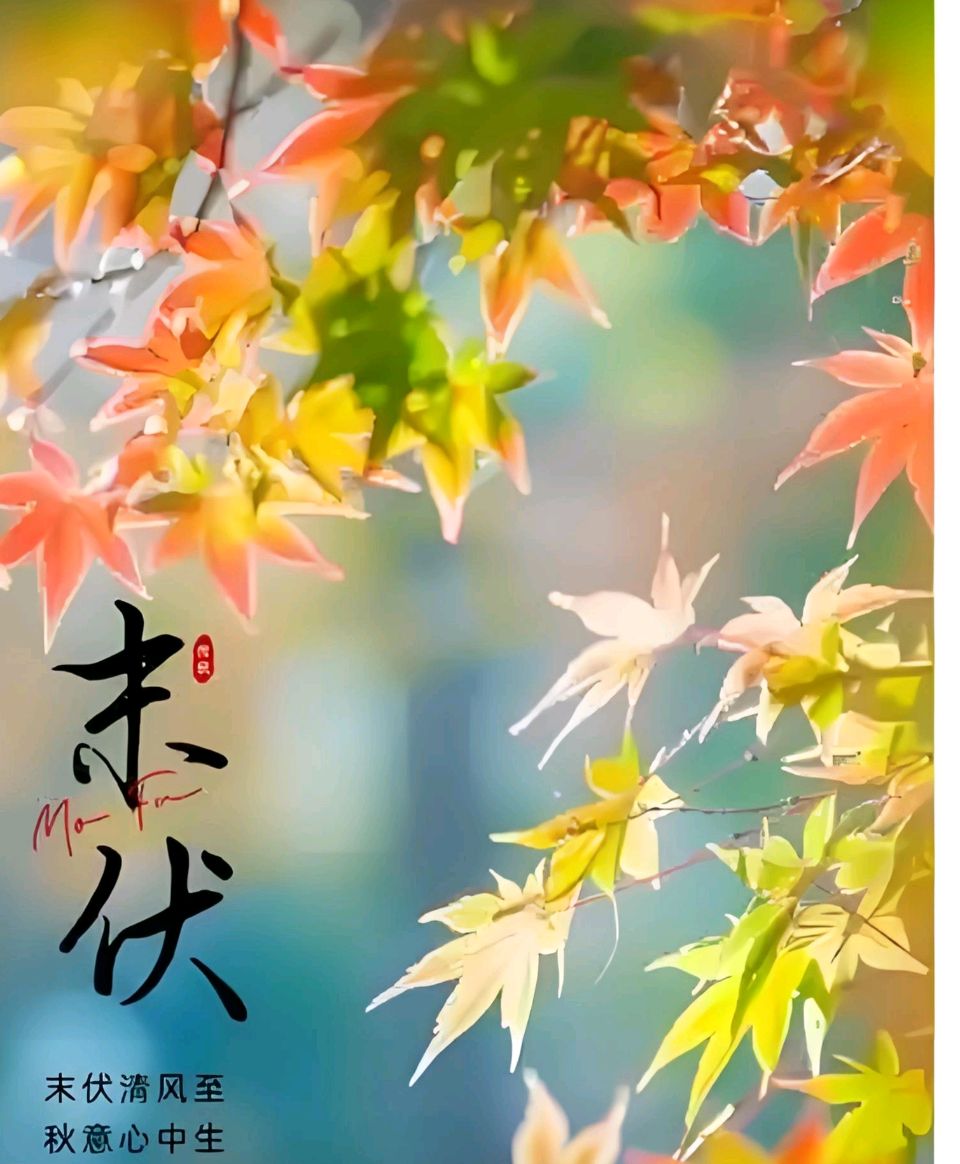 欣赏刘国星老师律诗·末伏之趣（图2）