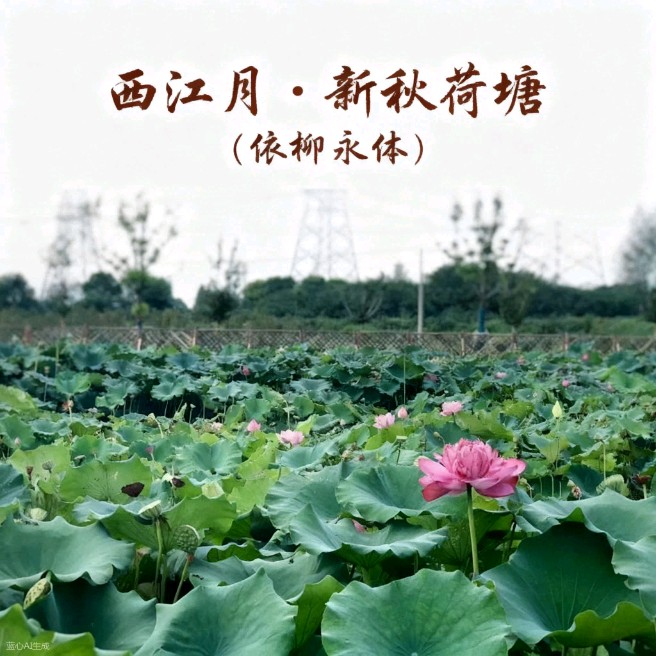 秋风一缕送吉祥，雨润清秋好时光，浅秋晨起寄祝愿，愿风雨化好运，烟火寻常暖，所求皆所愿，岁岁皆平安（图5）
