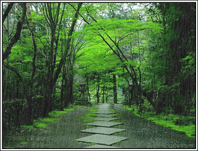 秋风一缕送吉祥，雨润清秋好时光，浅秋晨起寄祝愿，愿风雨化好运，烟火寻常暖，所求皆所愿，岁岁皆平安（图8）