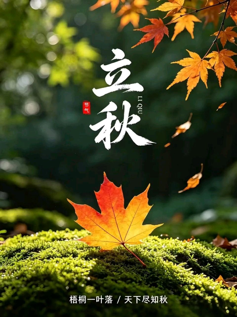 欣赏春晓老师律诗三首·立秋(图3)