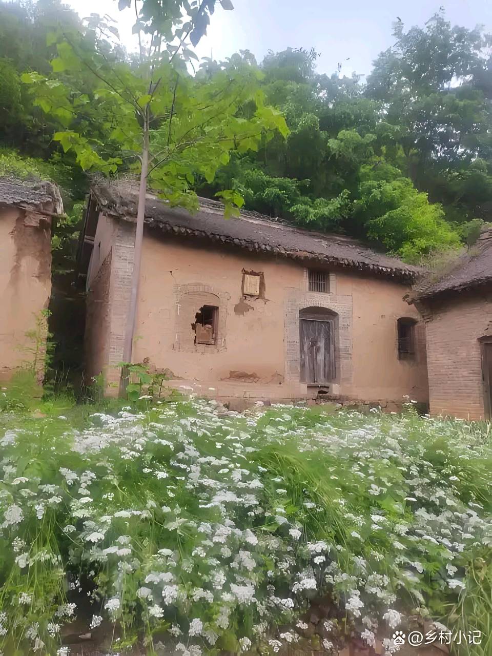 七绝·随写 文/张庆彬（图2）