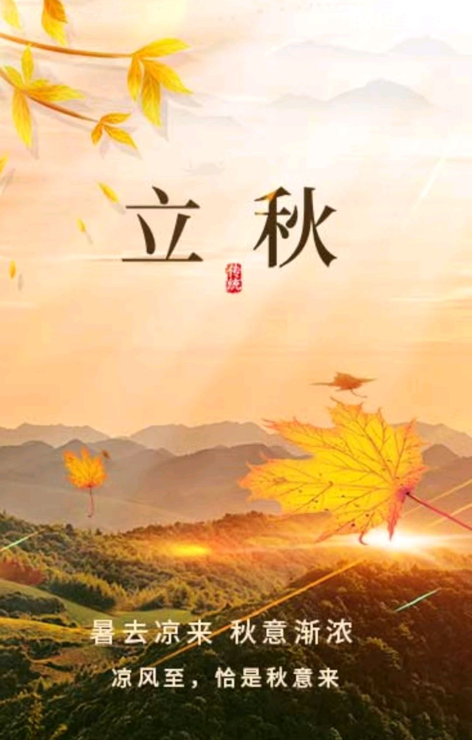 初秋感怀  关怀宪