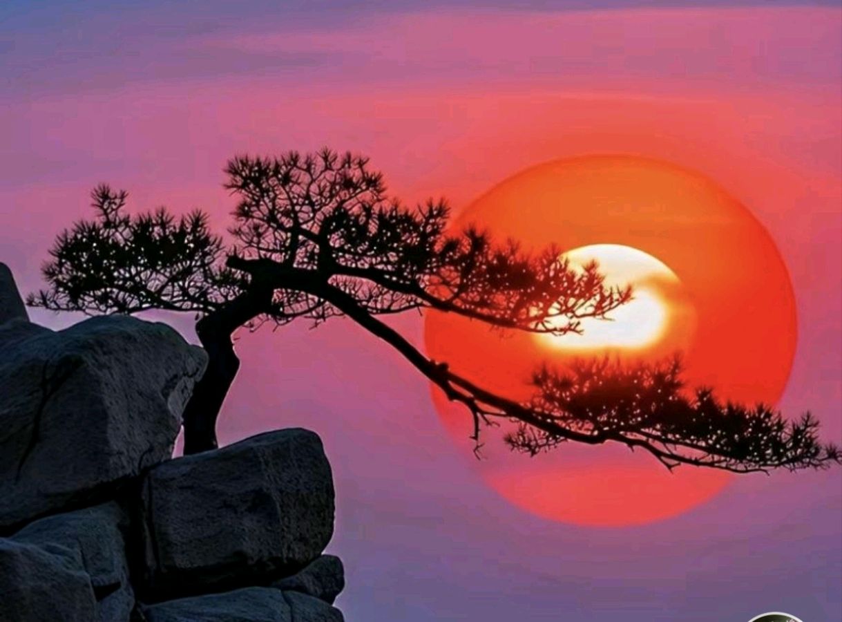 《中华好诗词》分享(宁夏)著名诗人牛振民先生诗词十一首敬请雅鉴(图8)