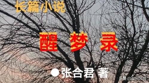 虚实寻醒：张合君《醒梦录》梦叙事对《红楼梦》《聊斋志异》的传承与歧异