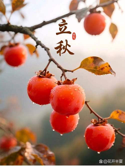 《五绝：立秋吟》文/侯洁——山东诗人