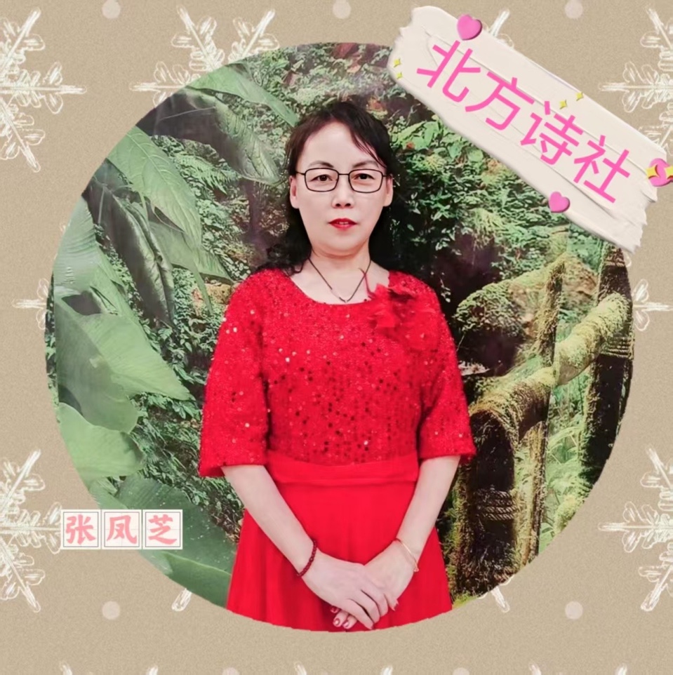 【东林北方诗社】隆重推介南屿《古风·又访齐齐哈尔》主播阳光丽人//编辑尤淑珍//音审美琪//图片淘淘//总第6288期(图6)