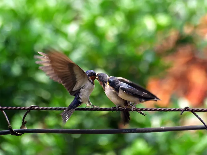 惠小勇‖哭灵女（外一篇）（图6）