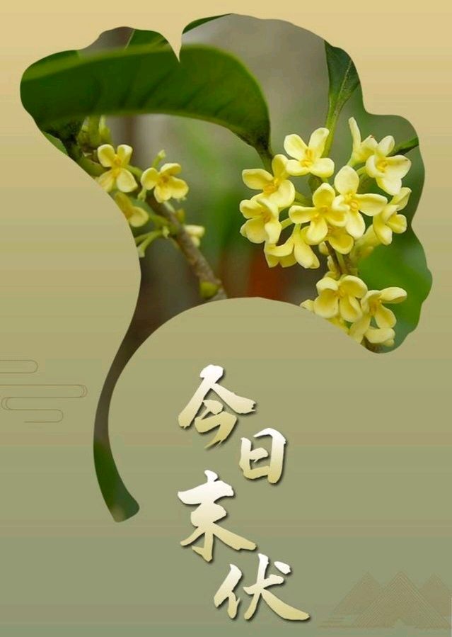 江城末伏，夏尽秋初 作者张绍钟（吉林）编辑孙秀兰20260814（图12）