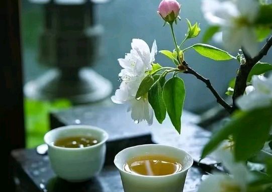 《韶光》作者：心慈＆诵读：毅玫（图5）