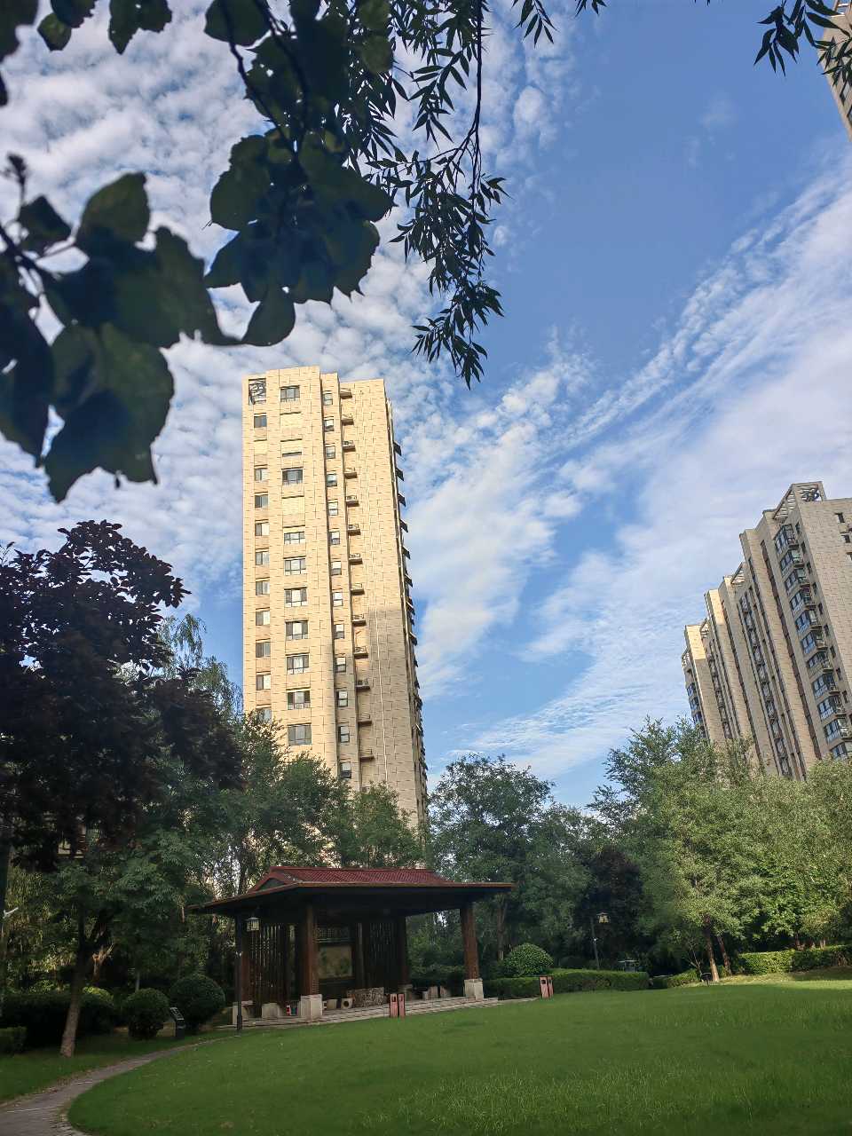 今日末伏（图8）