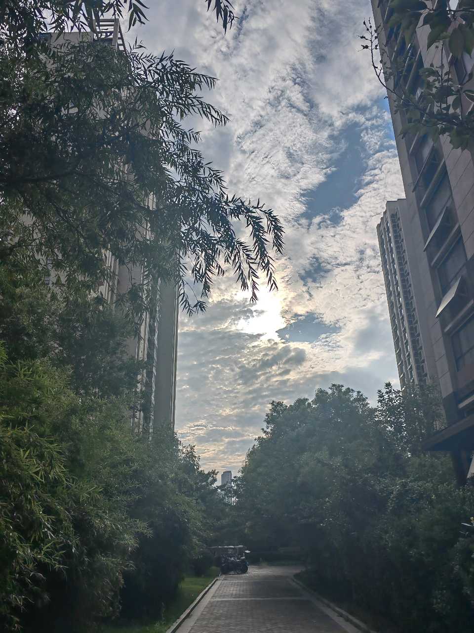 今日末伏（图7）