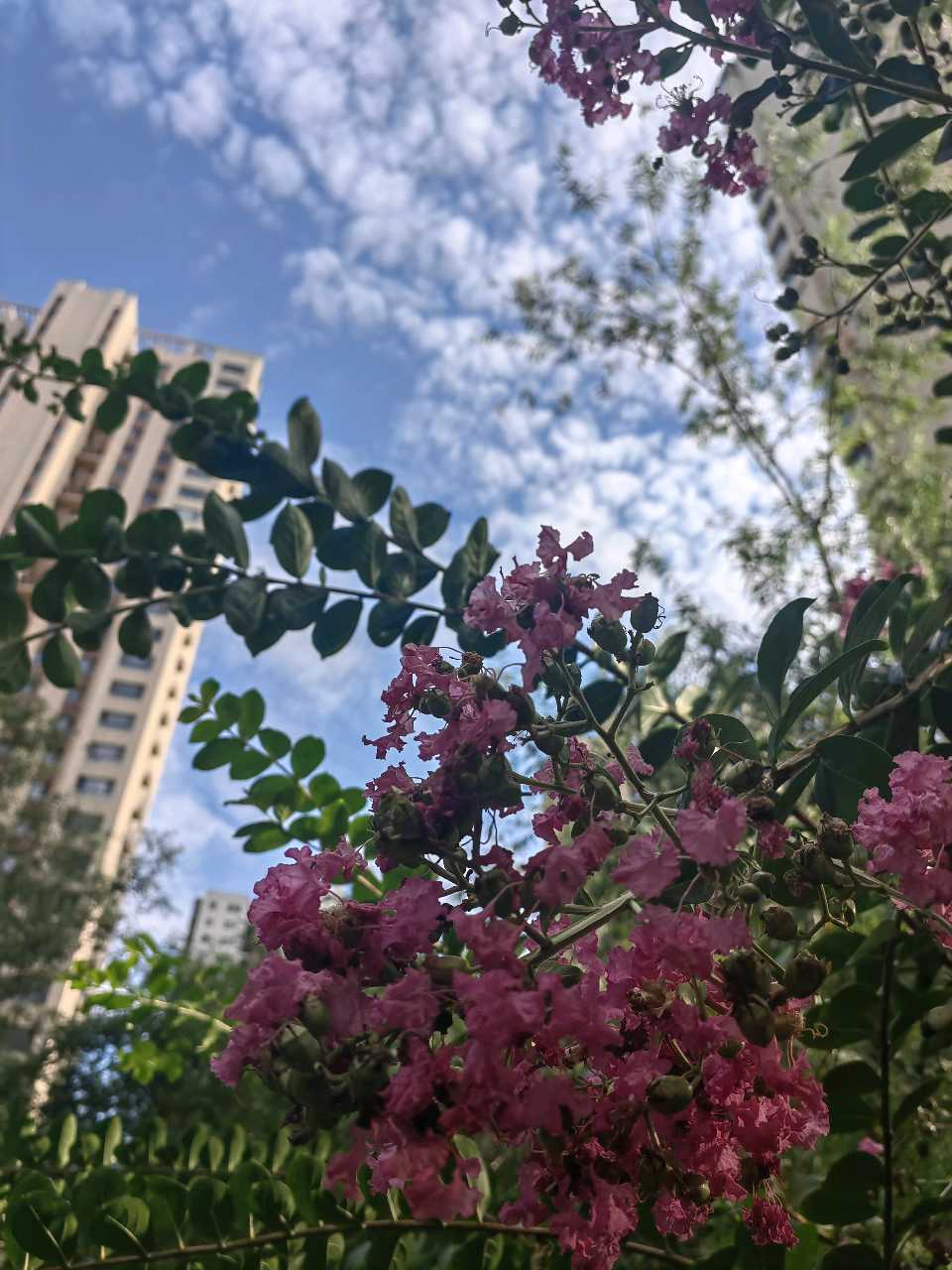 今日末伏（图6）