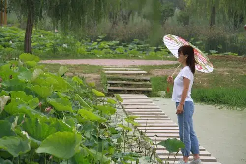 【北京头条】邹环荣诗歌专辑022期(图7)
