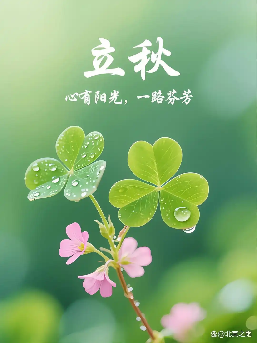【北京头条】周德仁诗歌专辑005期（图6）