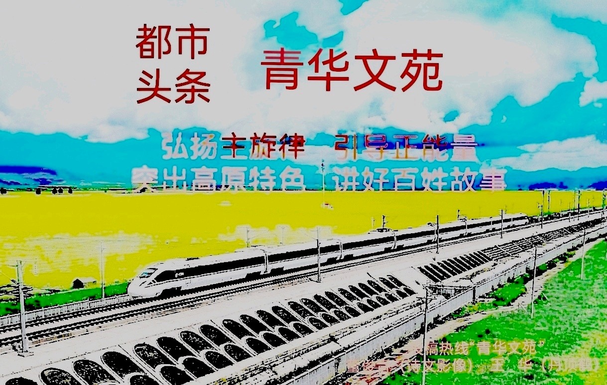 【河湟谷地】夏都之夏 作者：李钦渊（青海西宁）（图6）