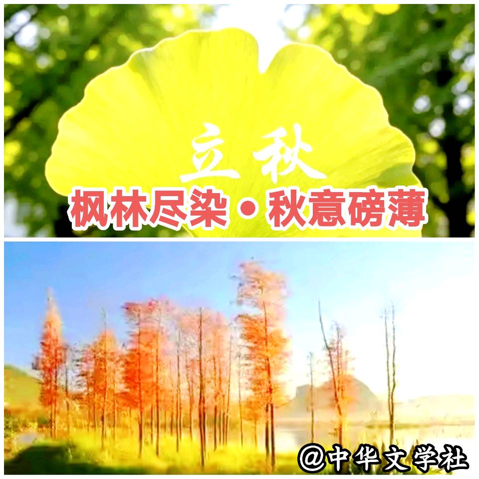 《中华头条北京版张新成》〖诗会情缘•诗韵金秋〗一一郸城县老年大学县医院分校诗词分会投稿《中华文学社》总第39期组诗（图20）
