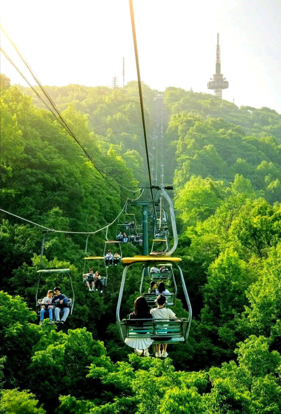 七律・初秋阖家登驼梁 作者:刘彦民 主播:蝴蝶兰(图4)
