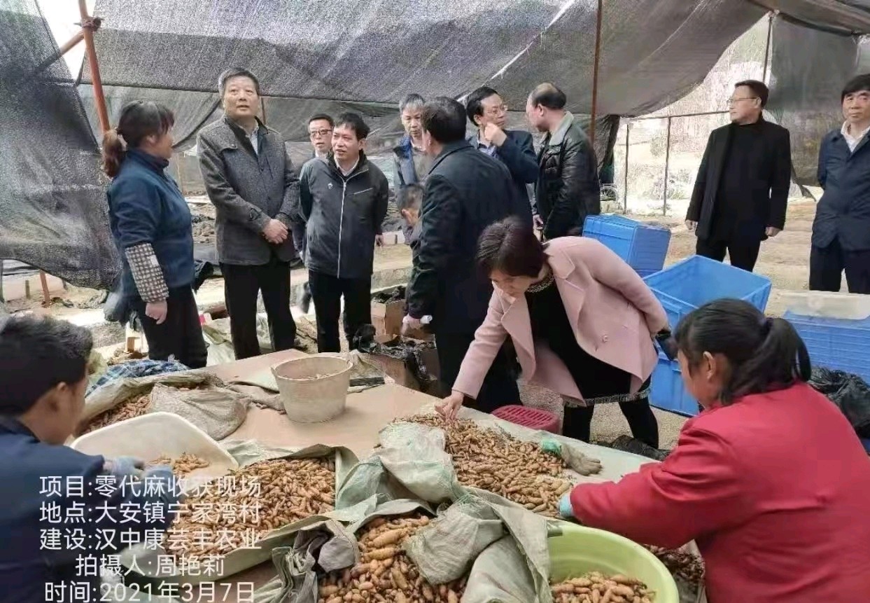 荣蓉 原创作品【立足乡土兴实业·丹心赤诚惠乡亲】——记最美惠农乡村领路人唐小金（图6）