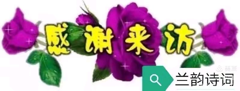 兰韵诗词《现代诗 伏天》总第353期（图11）