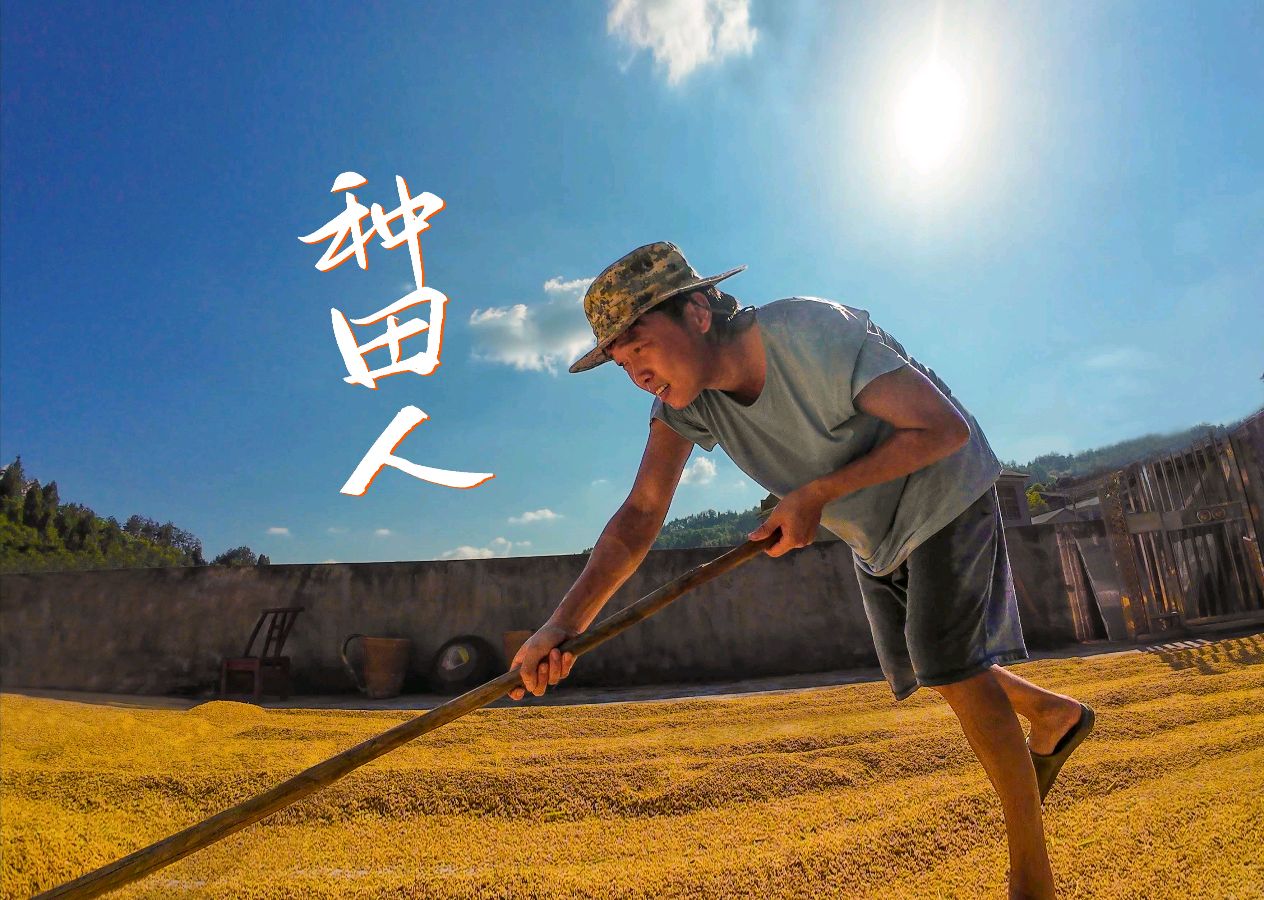 请欣赏《醉美故乡秋色》作者/寒风/主播 编辑/英利【中国长江文学社】有声文学平台【第19340期】（图4）